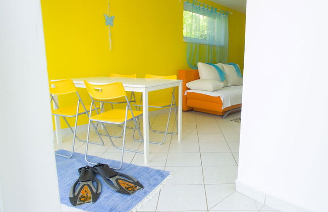 Victorious VIScovery Blue - Foto 15