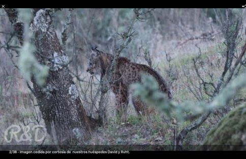La Isabelita - Foto 22