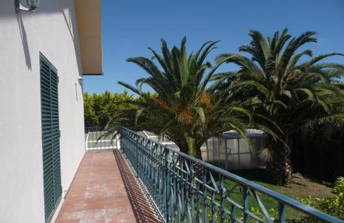 Quinta Manuel Santo - Photo 27