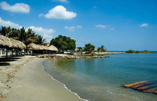 Paseo en barco por la ciénaga La Caimanera - Photo 4