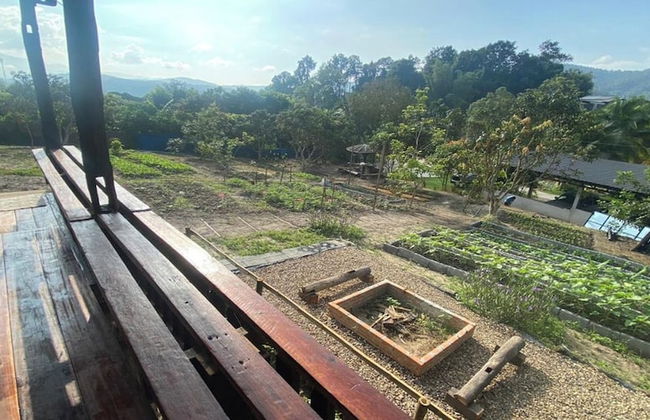 Nokkamin Home Chiang Dao - Photo 34