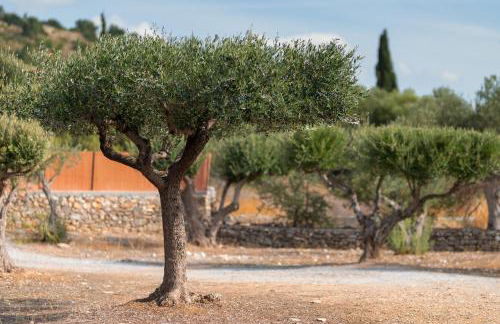 Ether Farmhouse - Foto 18