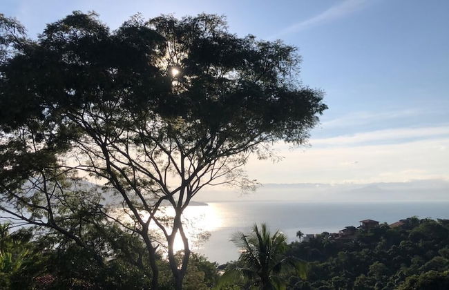 Siriúba Reserve - Foto 15