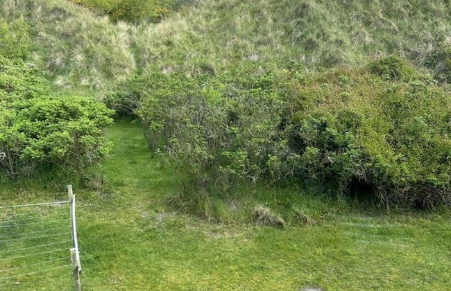 Klabautermann Maywald - Foto 11