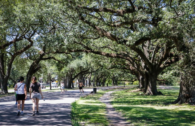 Spacious Townhouse close to FQ & City Hot Spots - Foto 31