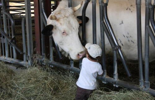 Domaine du Bas Chalus - Foto 15