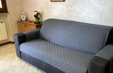 Rose e Frutta - Yellow Daisy - Foto 32