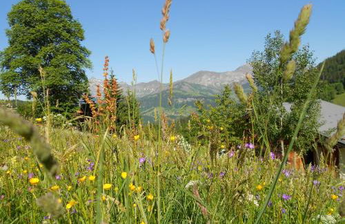 Chalets Savoie Les chalets d'Heidi - Photo 56