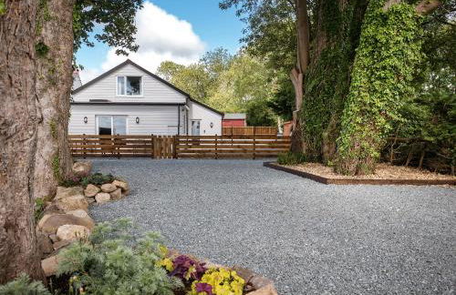 Seaborne Cottage - Pwlheli - Photo 17