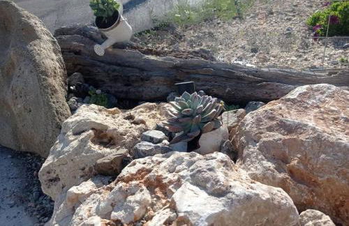 Nostalgico cottage - Photo 16