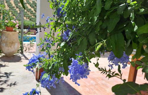 Cortijo Berruguilla - Foto 38