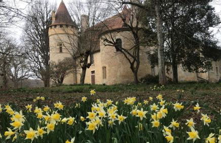 Gite In The Heart Of Historic Residence - Foto 5