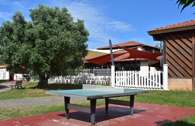 La Manne - Bormes les Mimosas - Foto 33