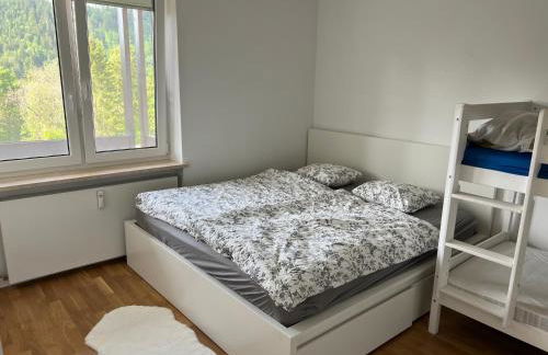 Bergblick Buchenhöhe - Foto 12