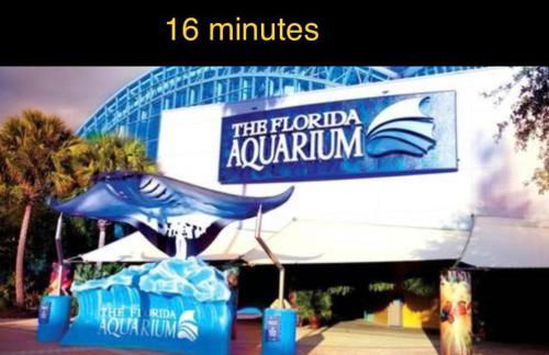 Beautiful and comfortable rom apt # 2 - Foto 20