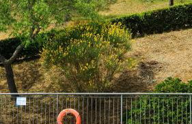 Vacanze Sant Andrea - Foto 1