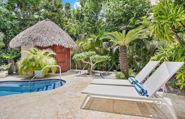 Beautiful Villa Tortuga at Puntacana Resort Club Pool Garden Golf Cart Maid - Photo 5