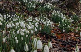 Luxury Shepherds Hut on Powis House Estate - Foto 13