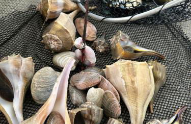 Beautiful Paradise for You - Foto 8