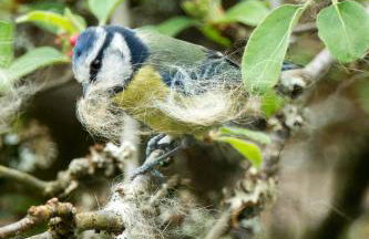 Room with a view - Photo 42