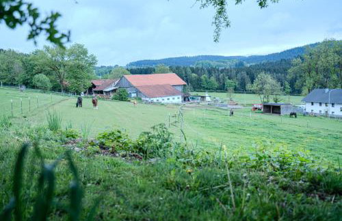 Wandern im Bayernwald - Foto 25