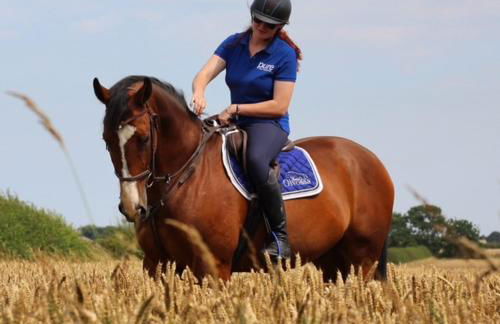 Holywell Grange Farm - Foto 17