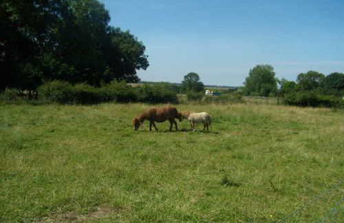 Gîte Gîtes de France® - Jeanne d'Arc - Foto 18