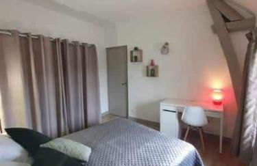 AU COEUR De LA CITE MÉDIÉVALE - Foto 12