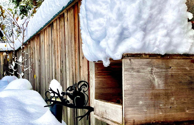 Apart Rebecca - Foto 33