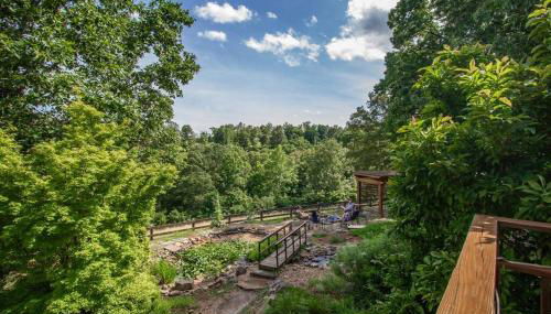 Buffalo River Lodge St Joe AR - Foto 2