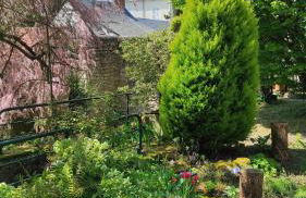 Gîte de charme proche du Zoo Beauval et Châteaux - Photo 25