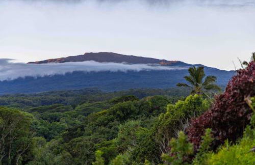Gardenia Room on Tropical Lush Farm in Haiku, Maui - Foto 39