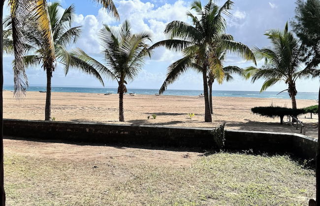 Villa Palmeira - Foto 1