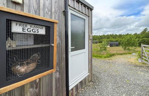 The Sheep Pod - Uk50074 - Photo 14