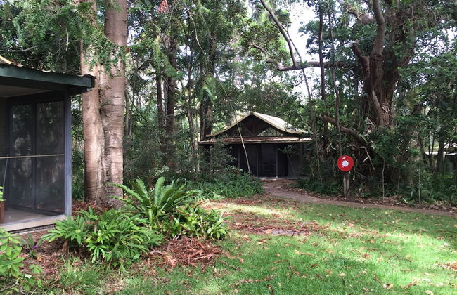 Byron Bay Rainforest Resort - Photo 2