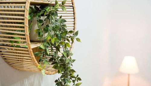 Cosy House in Porto Marina - Foto 4