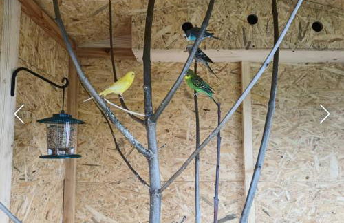 Domek z Góralską Duszą Śleboda - Foto 51