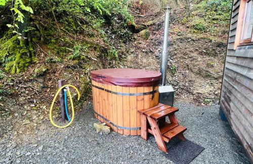 Romantic Shepherds Hut with Hot Tub in The Heart of Snowdonia - Foto 12