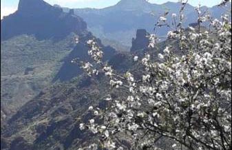 Silence's Cave Rural House - Foto 64