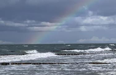 Fewo Lachmöwe - Foto 14