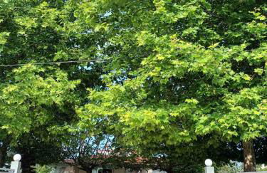 Nikolas home - Foto 16