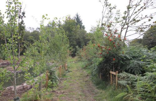 Serene Countryside Home with Manicured Gardens - Foto 52