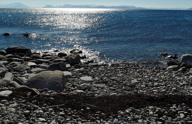 Holiday Home in Arnøyhamn - Foto 19