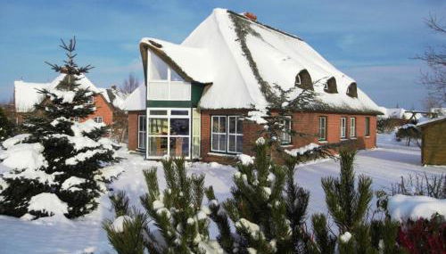 Idyllisches Reethaus Tönning - Foto 2, Garden, Garden view