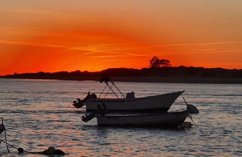 DULCE CARMEN - Photo 50