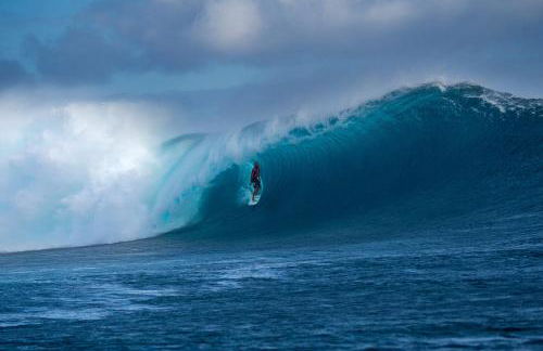 Vale do Grou Natura - Foto 45