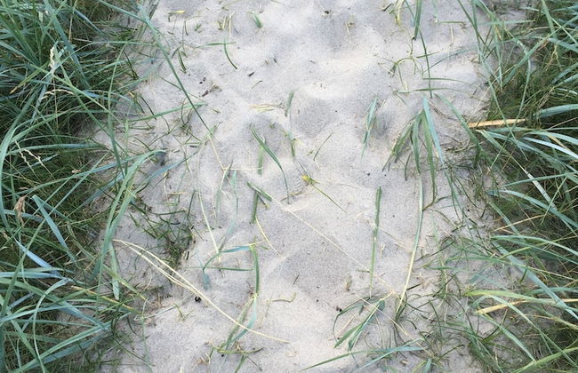 Villa Lindell - Foto 34