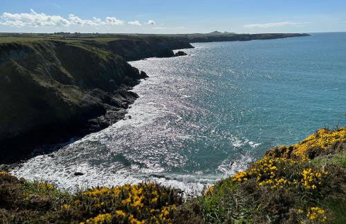 Cuddfan Fach - Pembrokeshire Stunning Barn near the Coastal Path - Foto 59