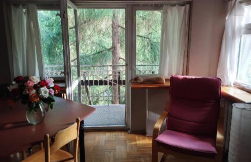 Pokój w domu z ogrodem w Milanówku - Foto 11