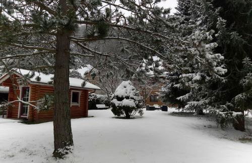 Haus am Wolfsbach - Foto 18